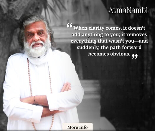 AtmaNambi wisdom on clarity removing what isn’t you and revealing the obvious path forward.