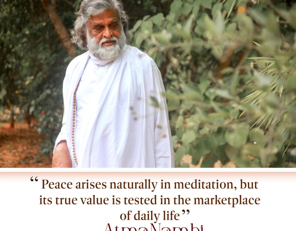 AtmaNambi teaching that peace arises in meditation but is tested in the challenges of daily life.