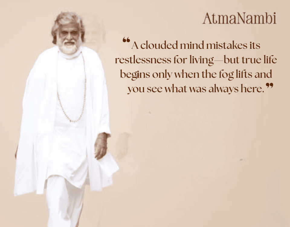 “AtmaNambi teaching that true life begins when the clouded mind becomes clear.”
