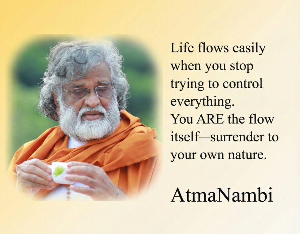 Quote about the flow of life and surrender, shared by AtmaNambi