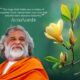 Portrait of Guru AtmaNambi with a yellow magnolia flower and a spiritual quote about how to remember your true Self to dissolve the cage of forgotten truth.