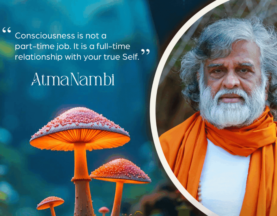 AtmaNambi spiritual master with vibrant mushrooms teaching that consciousness practice is not part-time but a full-time relationship with your true Self.