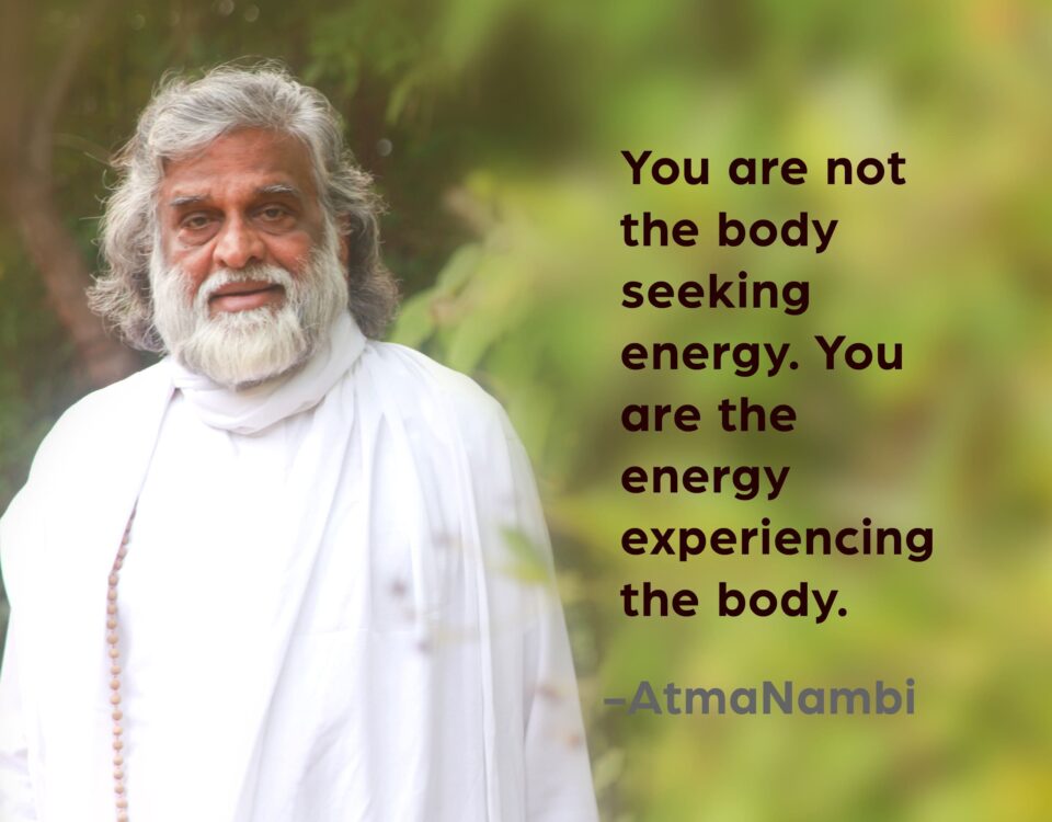 AtmaNambi, Indian enlightened master in white robes, with the spiritual quote "You are not the body seeking energy. You are the energy experiencing the body" — a pure energy spiritual awakening teaching.